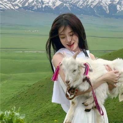 无良杂牌军